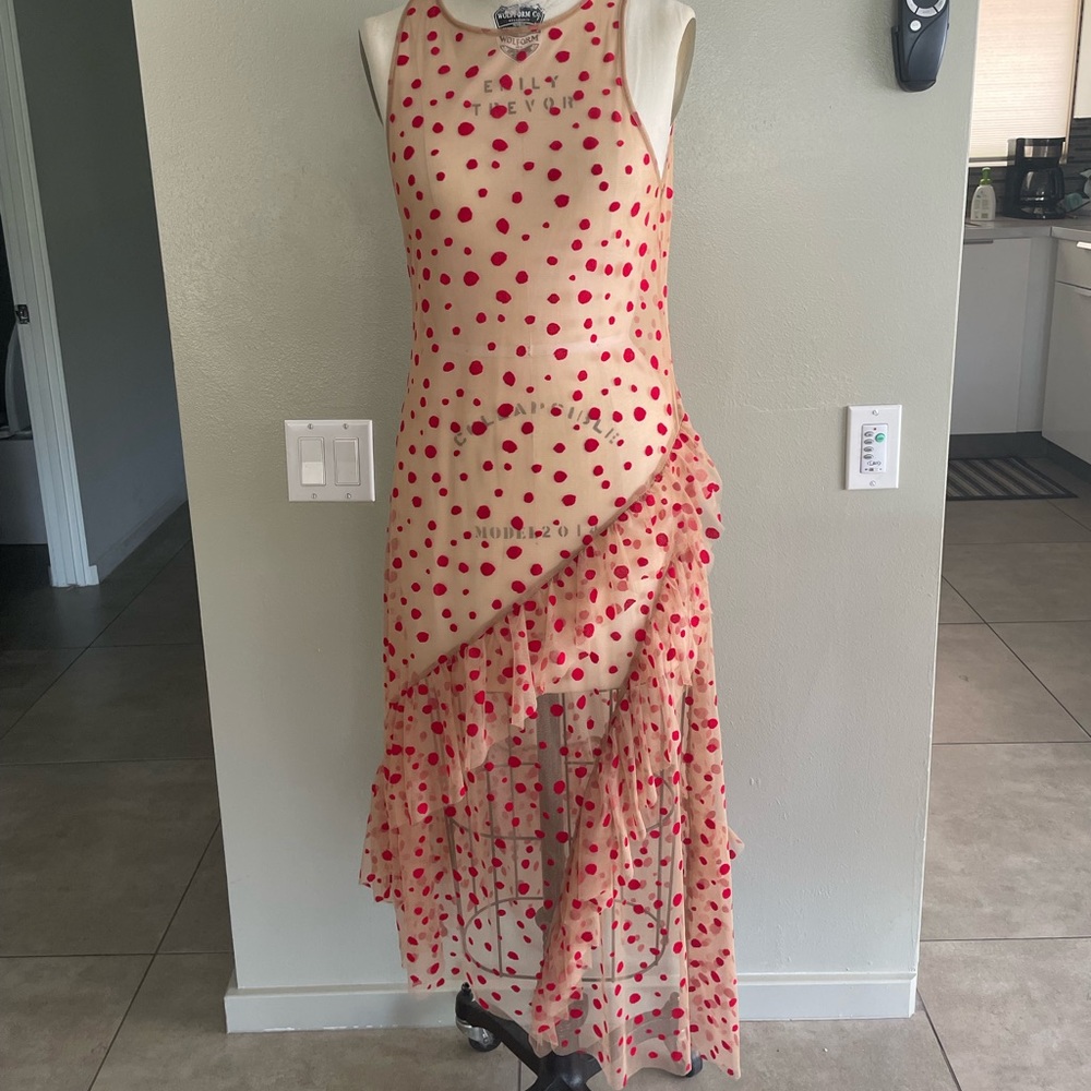 Tulle zara dress